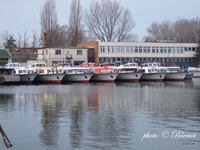 A flotta